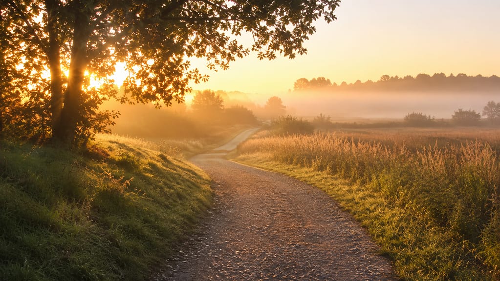 Peaceful path representing waiting and trusting God's guidance